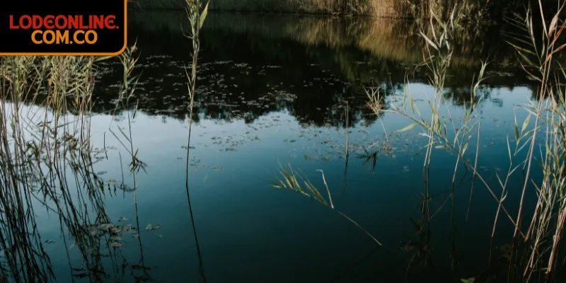 Lưu ý khi sử dụng giấc mơ ao hồ sông ngòi